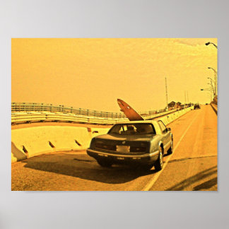 Póster NJ Surfing Kook