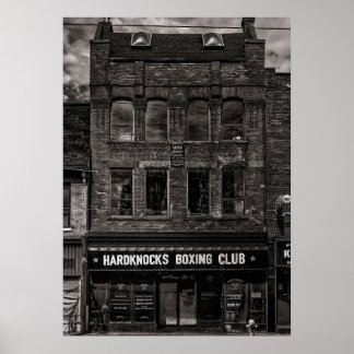 Póster No 358 Reina St E 1