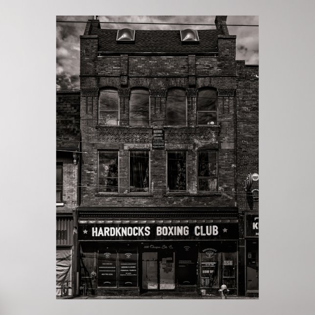 Póster No 358 Reina St E 1 (Frente)