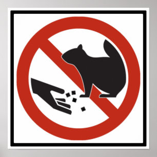 Póster No alimente a ardillas el Rótulo de la carretera