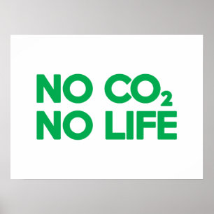 PÓSTER NO CO2 NO VIDA