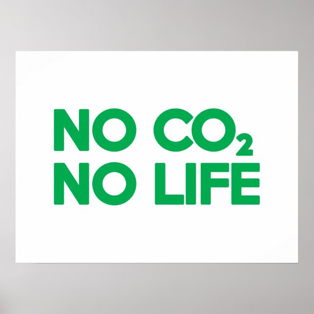 PÓSTER NO CO2 NO VIDA (Frente)