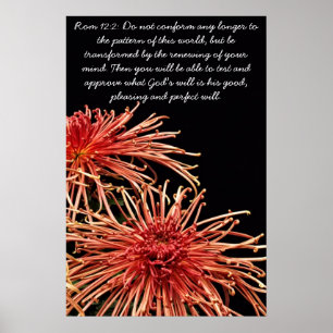 Póster No conformarse más