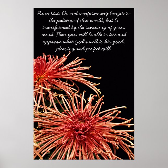 Póster No conformarse más (Frente)