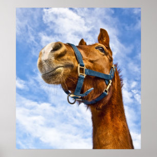 Póster no dar un paseo hoy