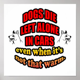 PÓSTER NO DEJEN A SUS MASCOTAS EN UN COCHE