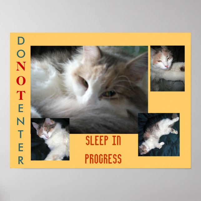 PÓSTER NO ENTRAR..... (Frente)