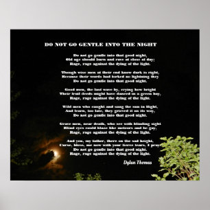 PÓSTER NO ENTRAR SUAVEMENTE EN LA NOCHE