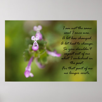 Póster No es el mismo alma