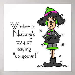 Póster No es un fanático del invierno