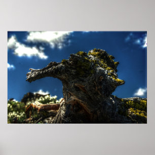 Póster No es una cabra