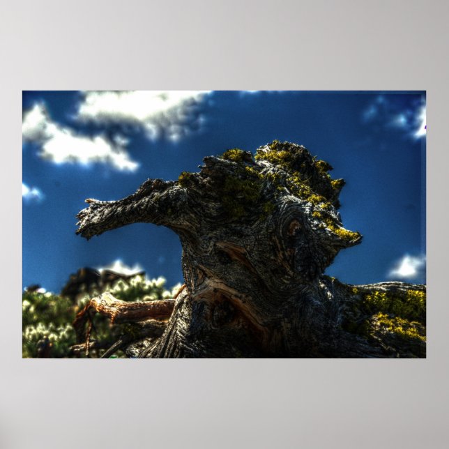 Póster No es una cabra (Frente)