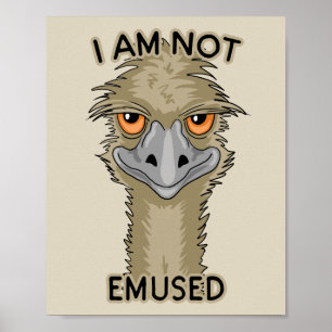 Póster No Estoy Confundido Con El Divertido Emu Pun   Bei