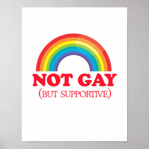 Póster NO GAY, pero de apoyo