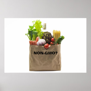 PÓSTER ¿NO GMO?