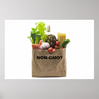 PÓSTER ¿NO GMO?