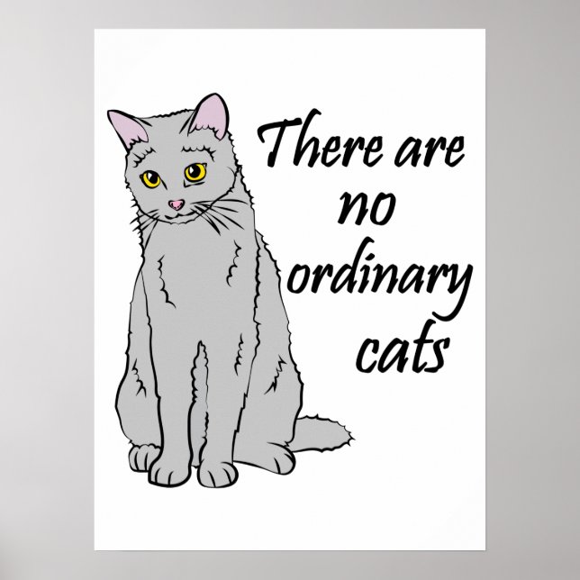 Póster No Hay Gatos Ordinarios (Frente)