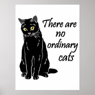 Póster No Hay Gatos Ordinarios