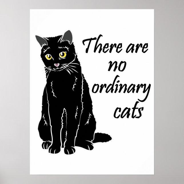 Póster No Hay Gatos Ordinarios (Frente)