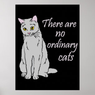 Póster No Hay Gatos Ordinarios - Gato Gris