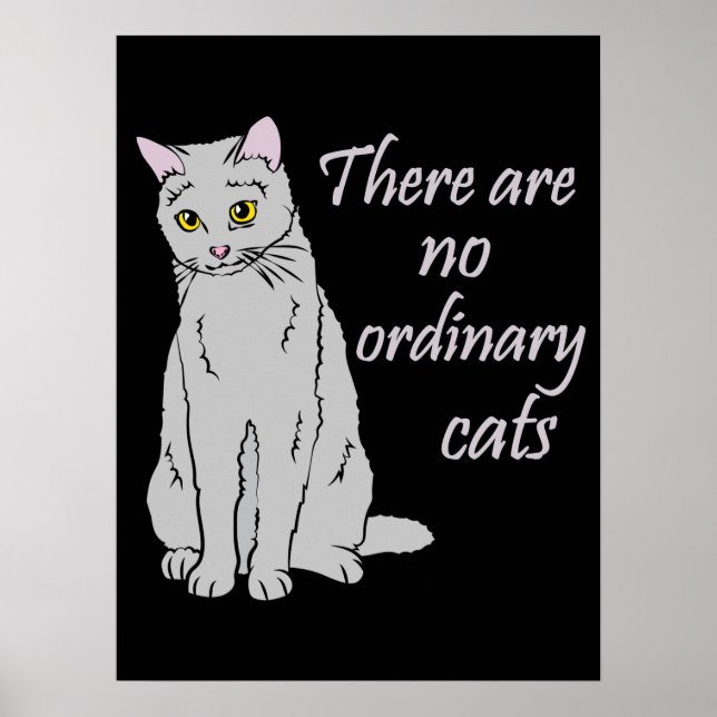 Póster No Hay Gatos Ordinarios - Gato Gris (Frente)
