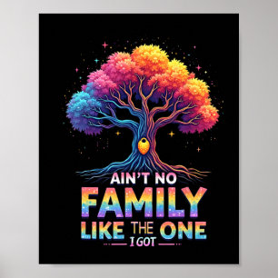 Póster No Hay Ninguna Familia Como La Que Tengo Reunión F