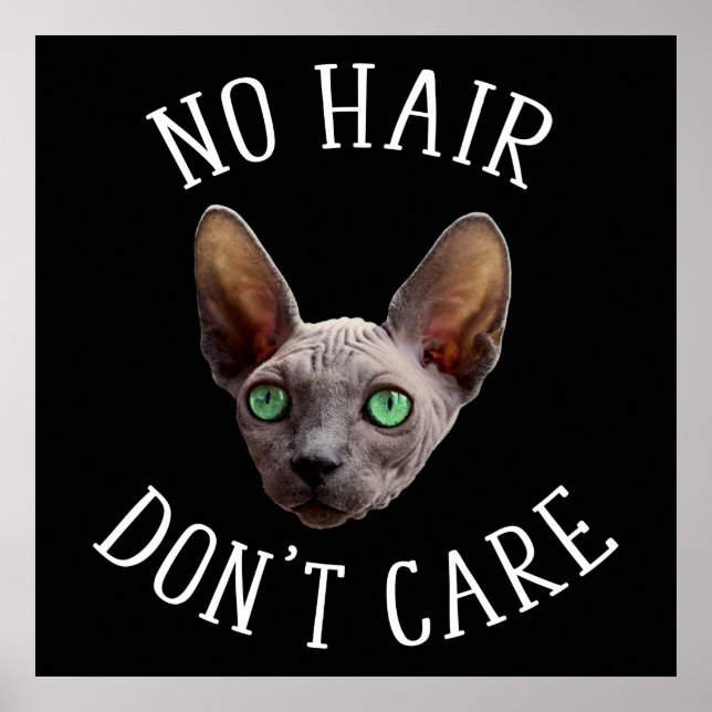 Póster No hay pelo que no te importe el gato gracioso (Frente)