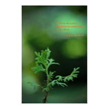 No hay pequeños planes