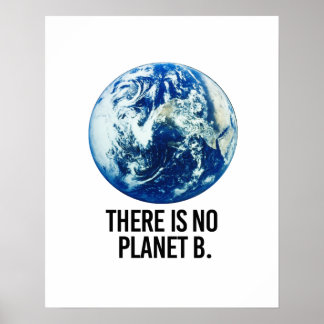 Póster No hay planeta B
