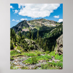 Póster No hay senderos para la belleza espléndida