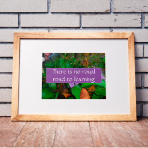 Póster No hay un camino real para el poster del aprendiza
