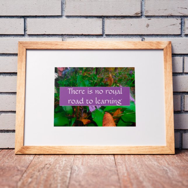 Póster No hay un camino real para el poster del aprendiza (Subido por el creador)