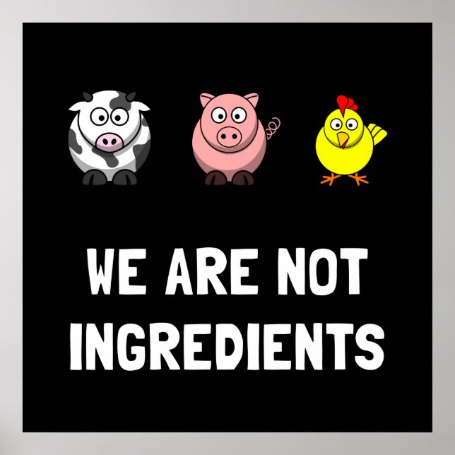 Póster No Ingredientes (Frente)