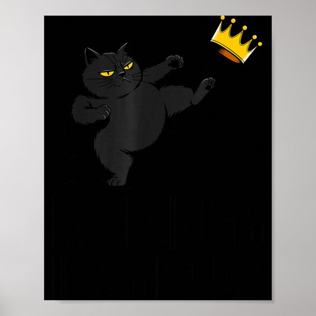 Póster No Kings In America Black Cat Funny Litical Meme 4 (Frente)