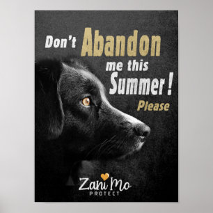 Póster No me abandones este verano - Protección de perros