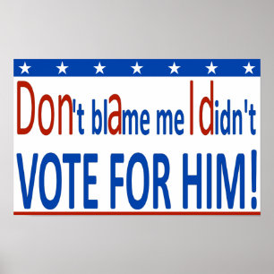 Póster ¡No me culpes que no voté por él!