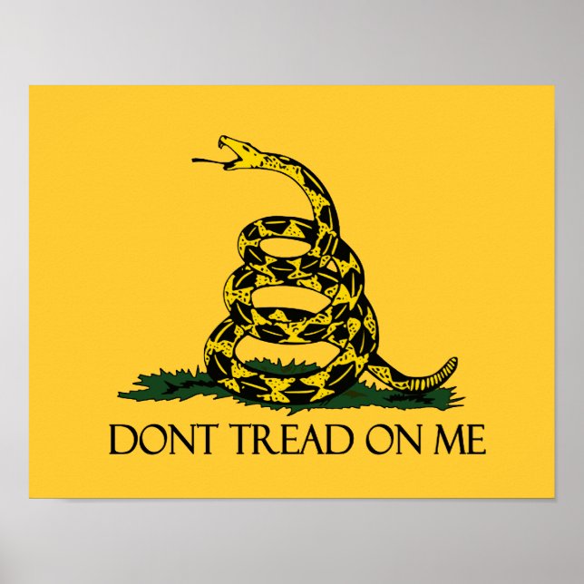 Póster No me engañen con la bandera de Gadsden ejército h (Frente)