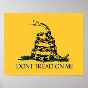 Póster No me enseñen la bandera de Gadsden, ejército hist