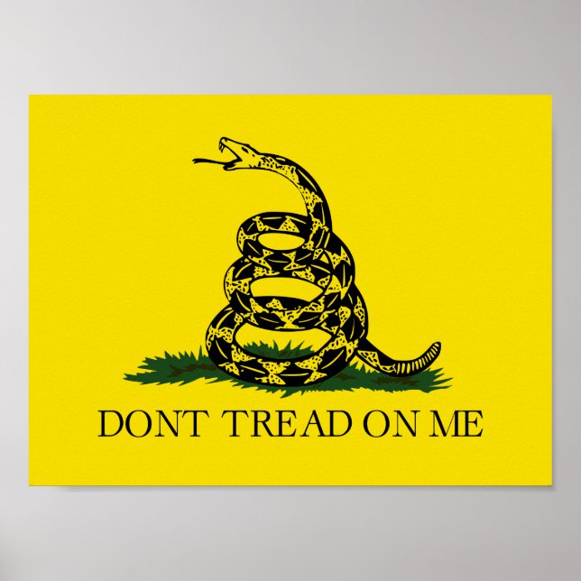 Póster No me enseñes la bandera de Gadsden (Frente)