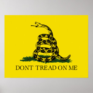 Póster No me enseñes la bandera de Gadsden
