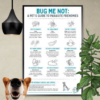 Póster No me molestes: la guía de un animal sobre parásit