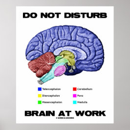 Póster No Perturbar El Cerebro En El Trabajo (Humor Anató