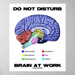 Póster No perturbe el cerebro en el trabajo (el humor