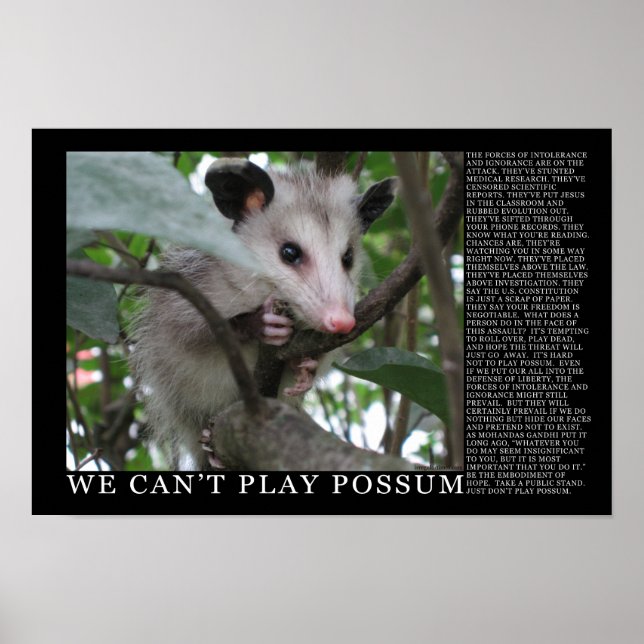 Póster No podemos jugar a Poster de Possum (Frente)