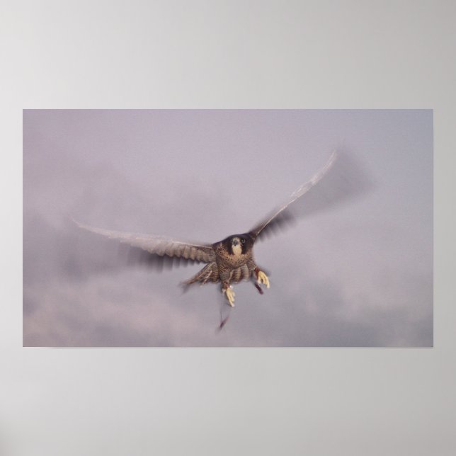 Póster No puedo parar el trueno... (Frente)