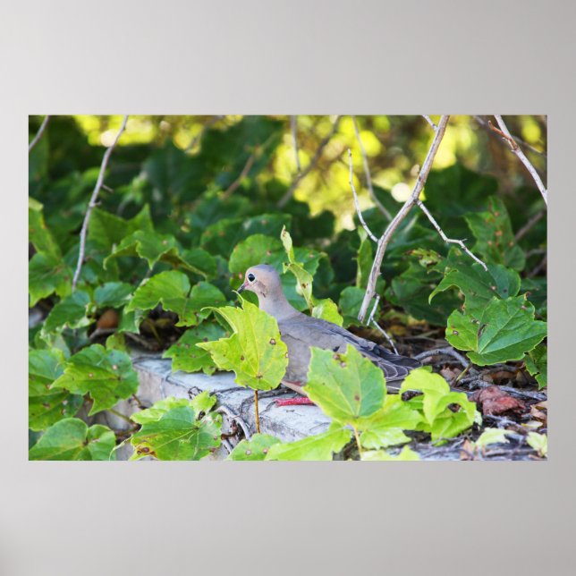 Póster No puedo verme (Frente)