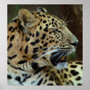 Póster No se cierre los ojos en mí…