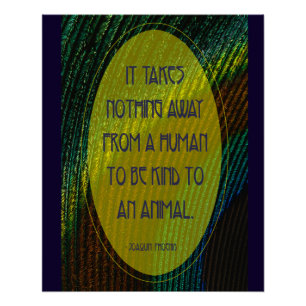 Póster No se necesita nada