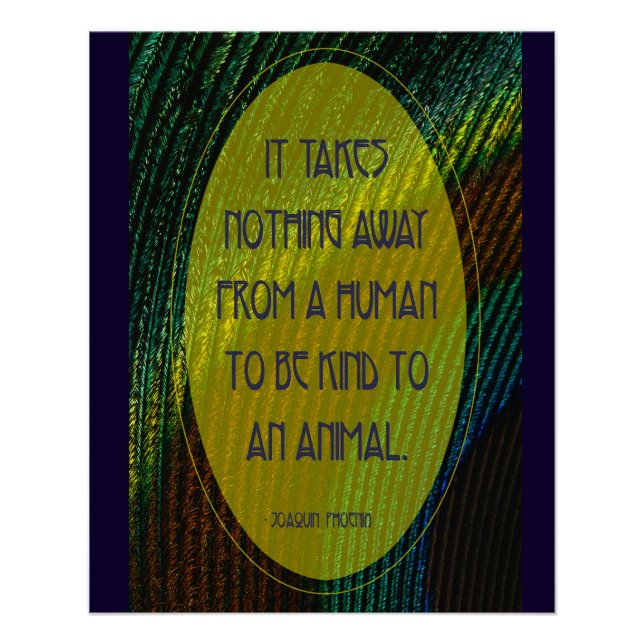 Póster No se necesita nada (Anverso)