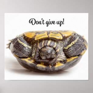 Póster No se rindan el estímulo a la tortuga de cabeza